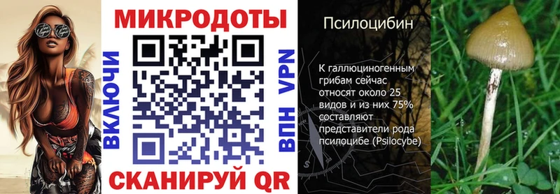 Купить закладки  Кузнецк  Галлюциногенные грибы Magic Shrooms 
